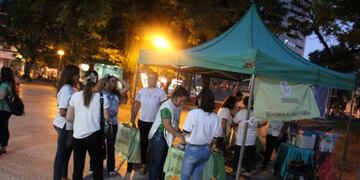 Se incrementan el trabajo contra el Dengue\u002E