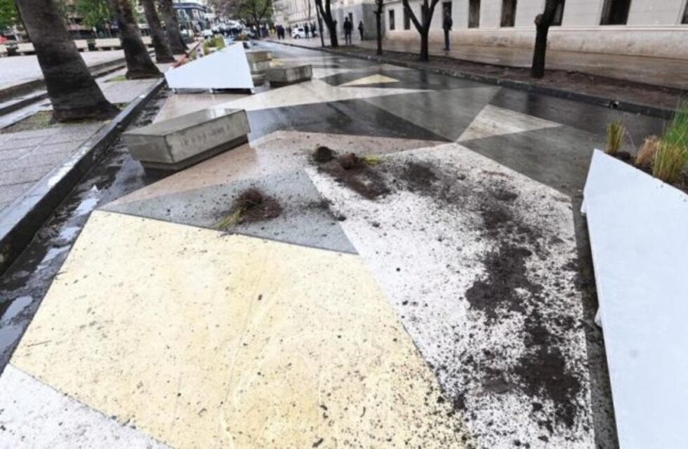 Tumbaron una maceta en una protesta y la Municipalidad de Córdoba los denunció