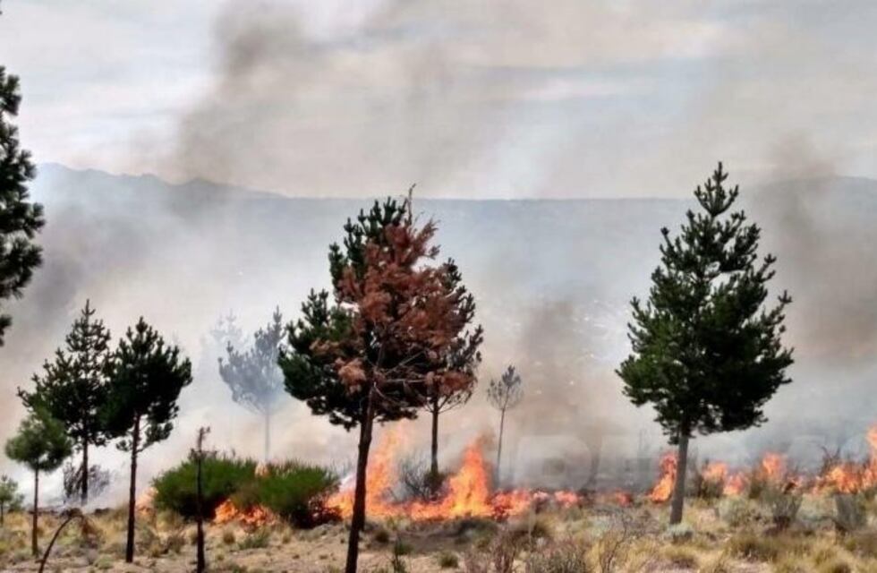 Esquel: Otro fin de semana con incendios