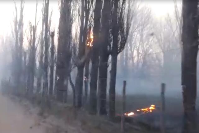 El viento Zonda afectará a toda la región. Imagen de archivo.
