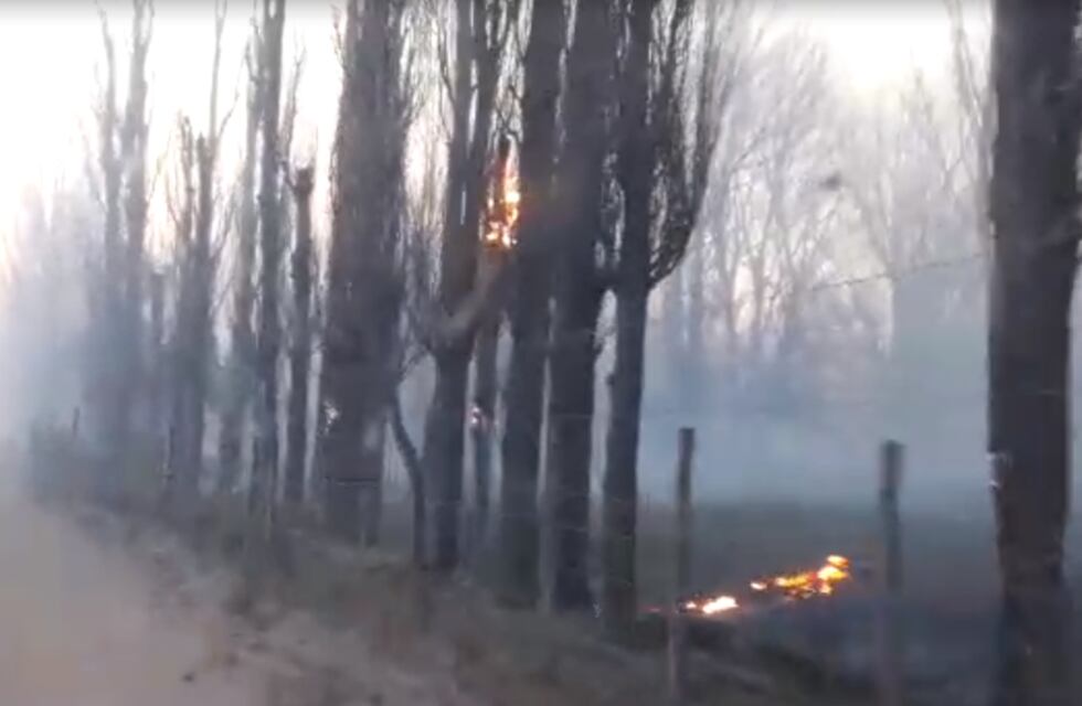 El sur mendocino en alerta por viento Zonda con ráfagas intensas