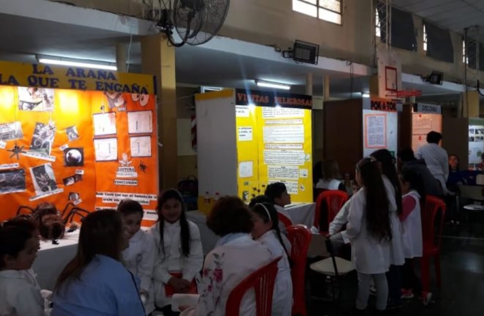Ya están los destacados de la Feria de Ciencias de San Luis
