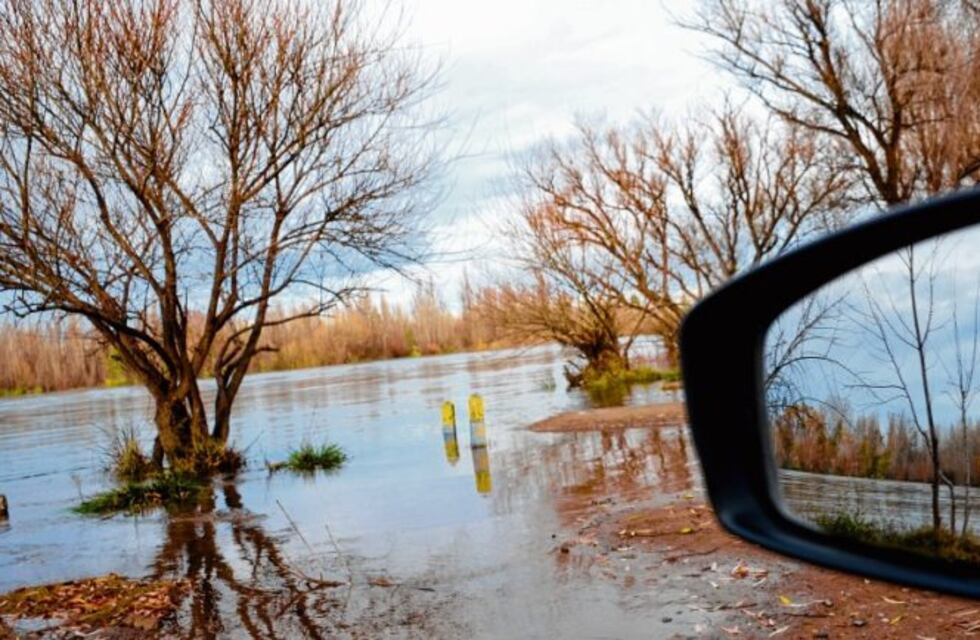 Le robaron el auto a una mujer mientras tomaba mate en Neuquén