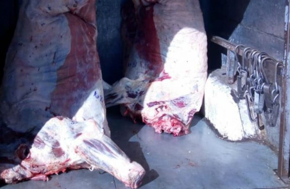 Trasladaba tres medias reses en la camioneta y la Policía se las incautó