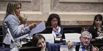 (crédito: Prensa Senado)