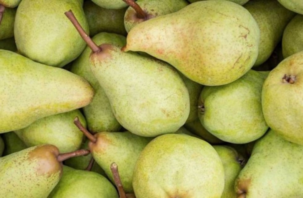 Exportaron las primeras peras del Alto Valle rionegrino a China