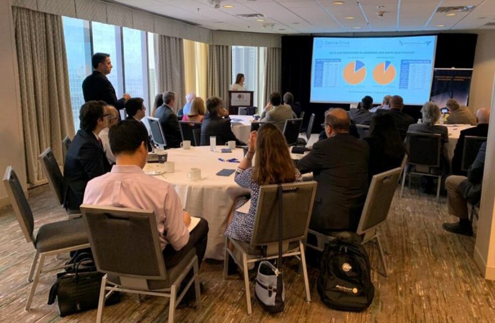 Santa cruz presentó el potencial de la formación Palermo Aike en Houston