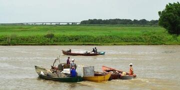 Devastación en el Río Paraná: \
