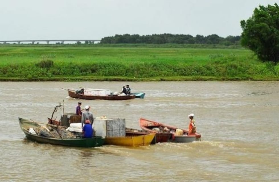 Devastación en el Río Paraná: "Los malloneros pueden sacar 50.000 surubies en un día"