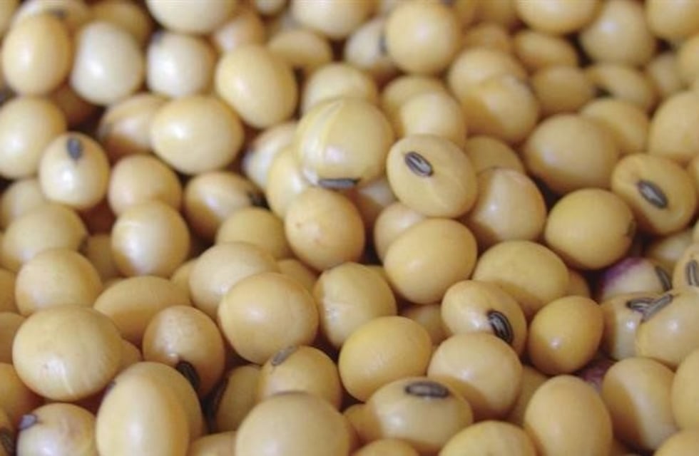 Analizan presentar un recurso de amparo en Santa Fe por la eliminación del fondo sojero