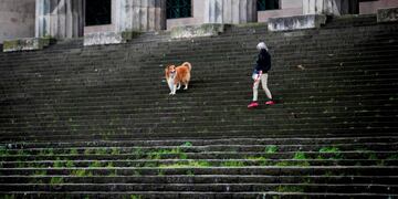 A woman walks her dog in Buenos Aires on July 18, 2020 a day after Argentina's government announced it was relaxing coronavirus containment measures in the capital to fight the COVID-19 pandemic\u002E - From Monday, non-essential businesses, industry and certain professional activities can restart and citizens will also be allowed to go outside for sport and to visit places of worship\u002E (Photo by Alejandro PAGNI / AFP)
