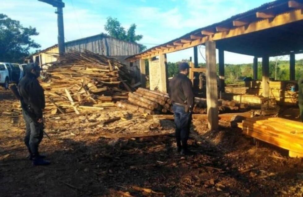 Clausuraron por segunda vez un aserradero en Mojón Grande