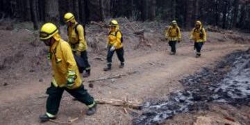 CH101. BIOBu00cdO (CHILE), 27/01/2017 Un grupo de bomberos colombianos comienzan los trabajos hoy, vienes 27 de enero de 2017, para ayudar a contener el fuego de un incendio forestal en la localidad de Palomares en la regiu00f3n del Biobu00edo, ubicado aproximadament