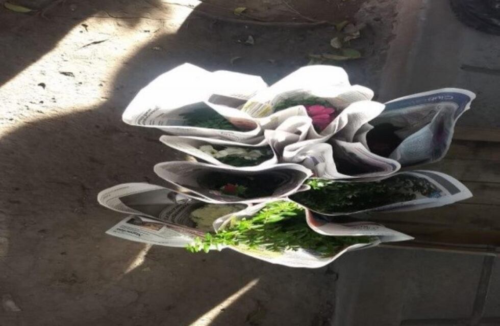 Jesús María: vendía plantines ilegalmente y fue detenido