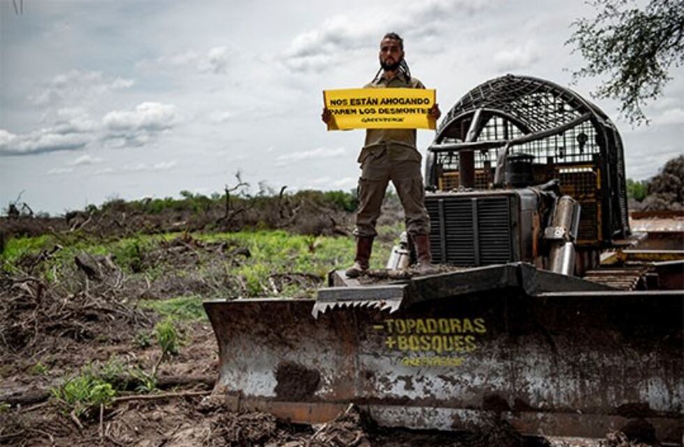 Convocan a entidades ambientalistas para acordar una agenda de trabajo