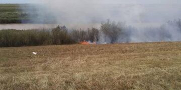El Paraná no se Toca presentó una denuncia penal en Victoria por los incendios en las islas frente a Rosario\u002E (Facebook)