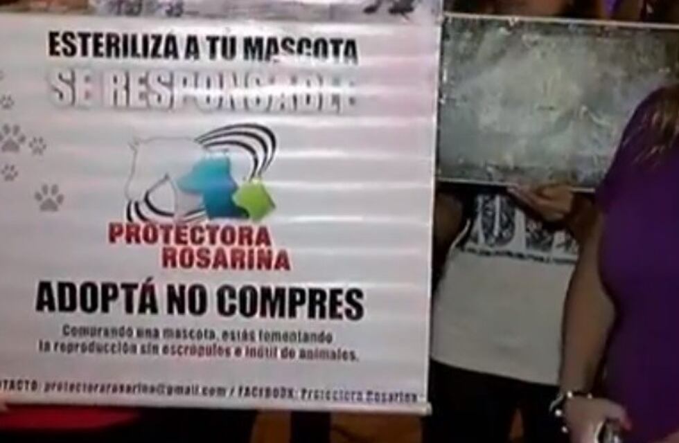 Masiva marcha por la vida y derechos de los animales