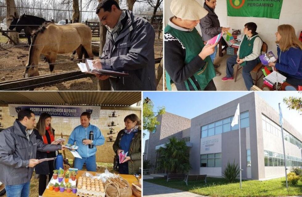El Senasa controló los animales ingresados a la Expo Rural