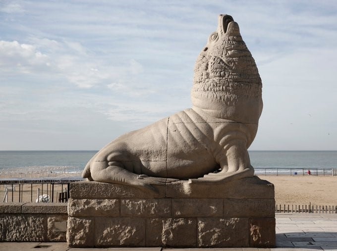 Lobo Marino de la Bristol de Mar del Plata (Foto: Turismo Mar del Plata)