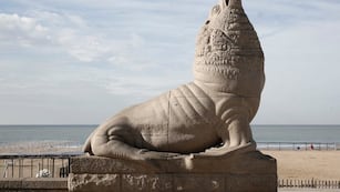 Lobo Marino de la Bristol de Mar del Plata (Foto: Turismo Mar del Plata)