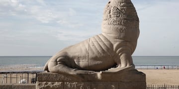 Lobo Marino de la Bristol de Mar del Plata (Foto: Turismo Mar del Plata)