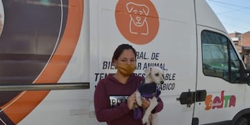 Esta semana los servicios de castración y vacunación de mascotas estarán restringidos (Municipalidad de Salta)