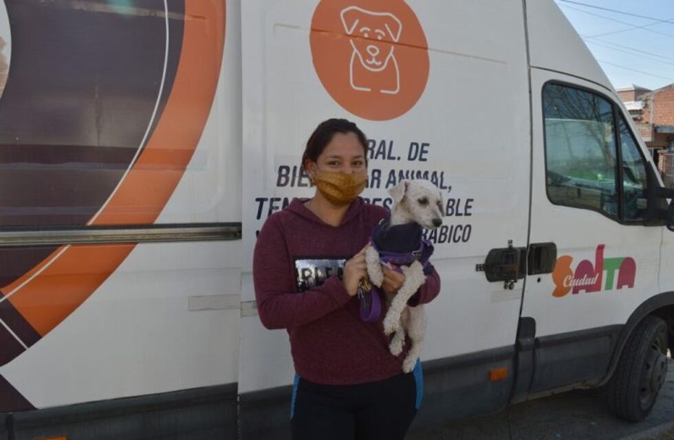 Esta semana los servicios de castración y vacunación de mascotas estarán restringidos