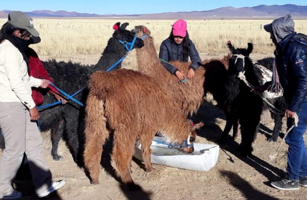 Viajeros se interesan en propuestas de turismo comunitario en Jujuy