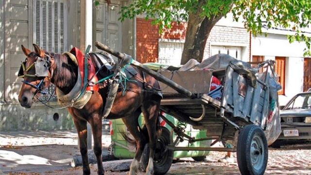 Carreros realizaban nuevas movilizaciones en la ciudad