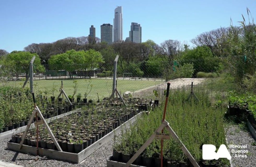 Reapertura del turismo: la Ciudad lanza un nuevo circuito al aire libre en Puerto Madero