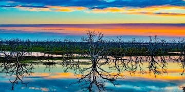 Las imágenes del fotografo formoseño han recorrido el mundo