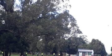 Búsqueda de Claudia Repetto: intensos rastrillajes en Santa Rosa del Mar (Foto: Ahora Mar del Plata)