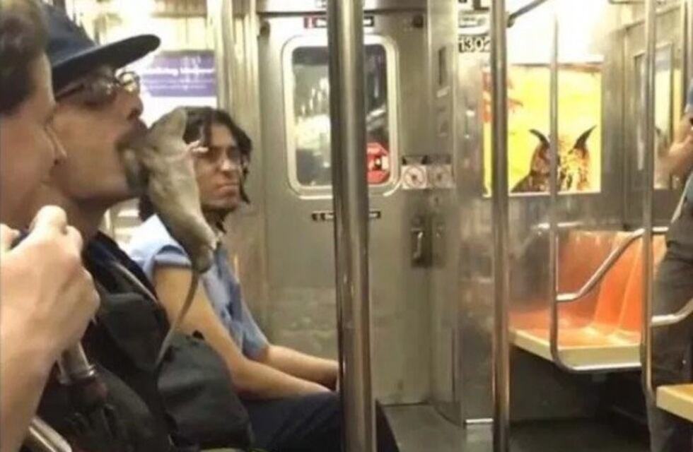 El insólito video viral del pasajero del subte que sostuvo una rata gigante con la boca