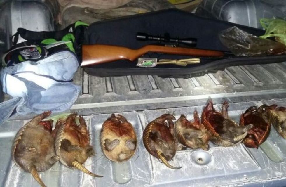 Detuvieron a ocho cazadores en San Rafael con piches muertos