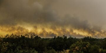Incendios forestales en Mendoza, Argentina\u002E