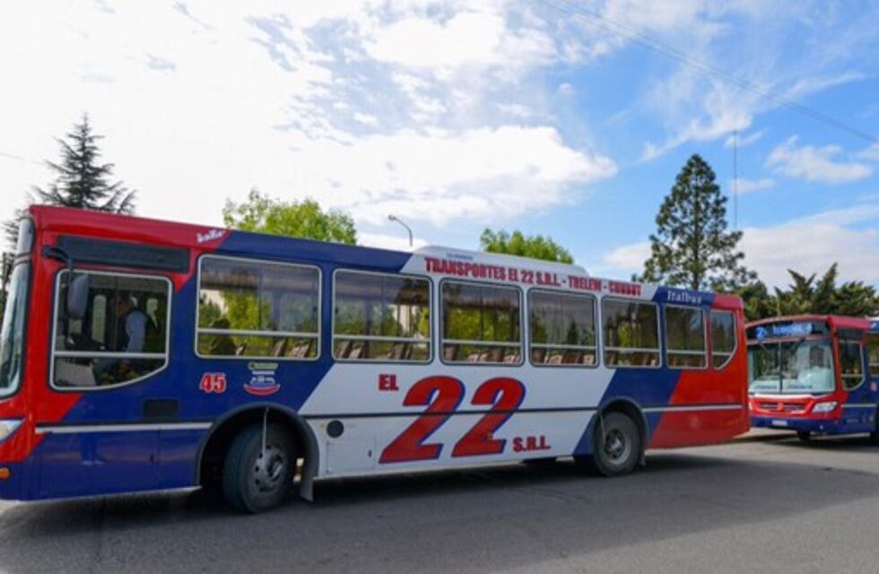 El Gobierno destrabó el conflicto con los colectivos y se normalizó el servicio