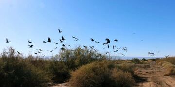 Imágenes del macabro hallazgo\u002E