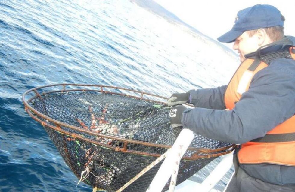 Prefectura encontró trampas clandestinas en el canal Beagle