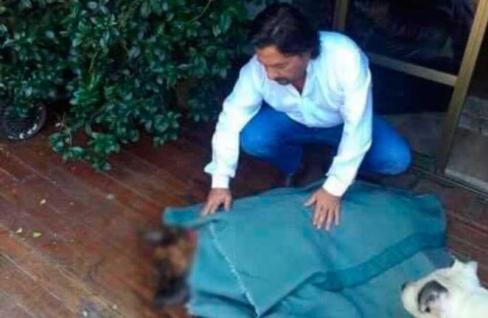 El sentido mensaje de Gustavo Sáenz a su perro: "¡Te vamos a extrañar mucho Tanguito!"