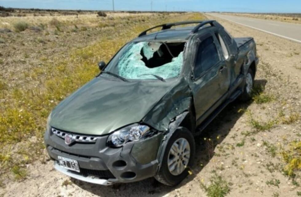 Puerto Santa Cruz: conductora impactó guanaco sobre la ruta y volcó