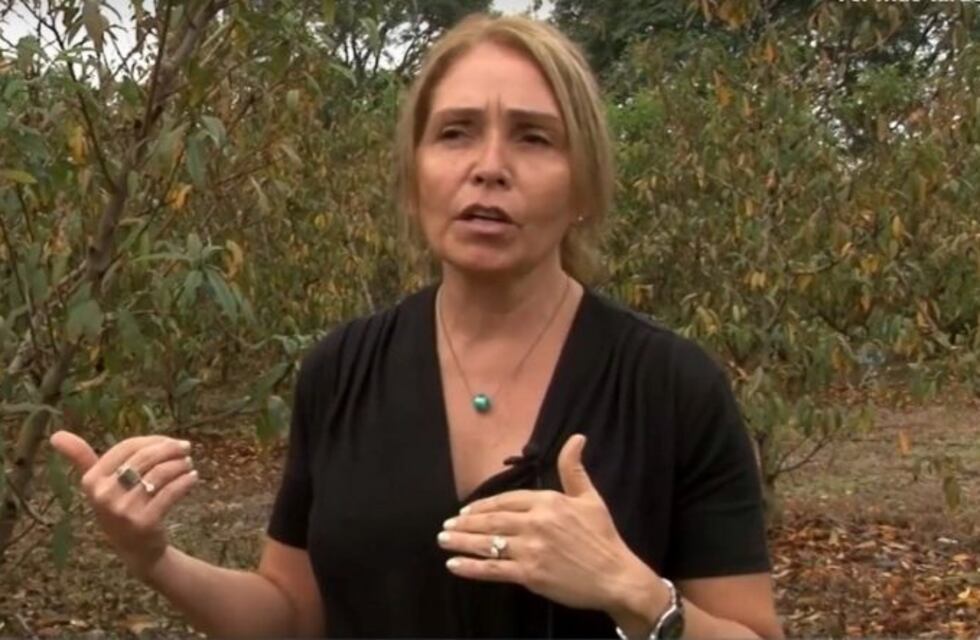 Jujuy envía 1.300 tn de durazno al Mercado Central de Buenos Aires