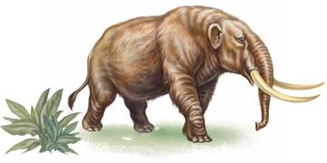 mastodonte