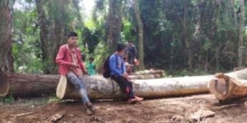 Los guaraníes cuidan sus recursos naturales que garantizan su estilo de vida y cultura\u002E (Misiones Online)