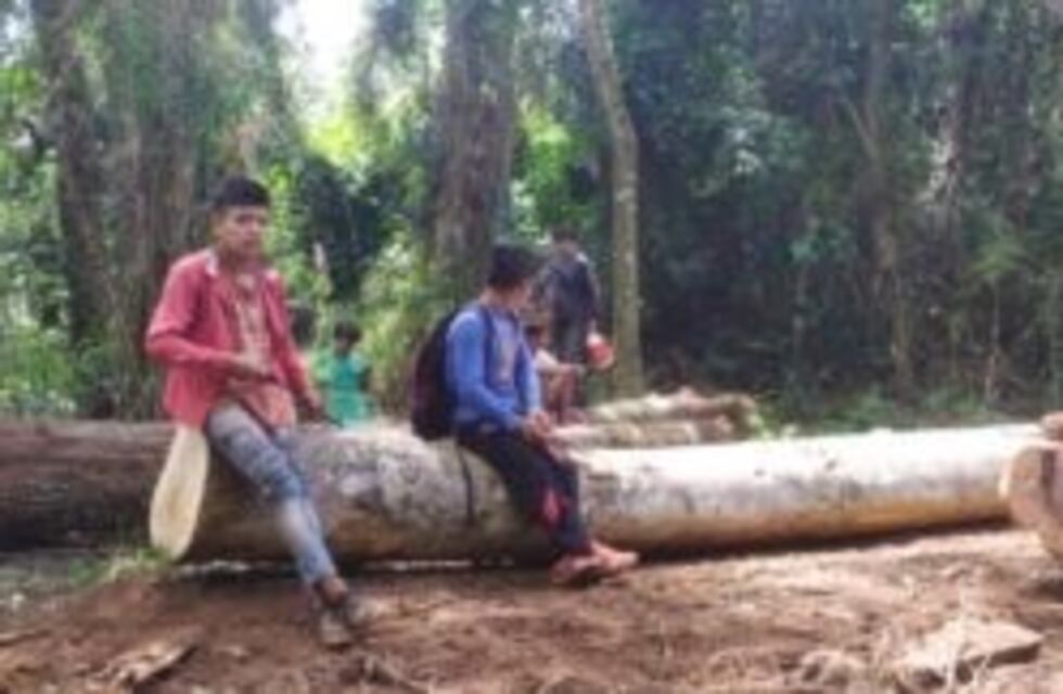 Comunidades aborígenes contra la tala de árboles en una zona de bosque nativo