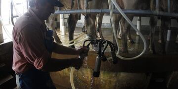 Lecheria Córdoba\u002E