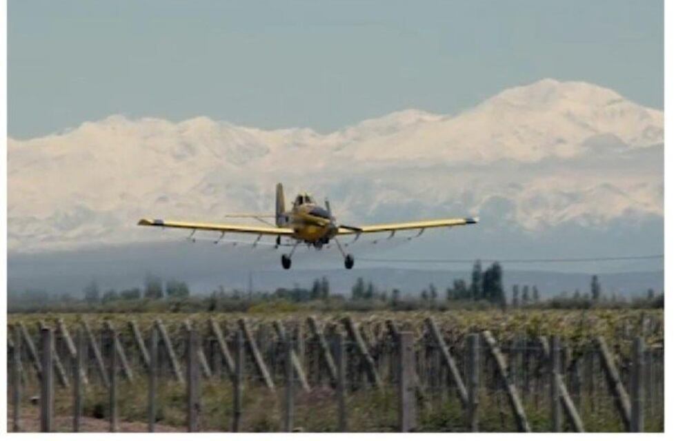 Comenzaron a fumigar contra la polilla del vid en Mendoza