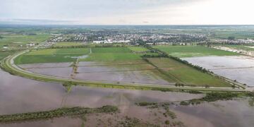 El Gobierno nacional declaró la emergencia agropecuaria en la provincia de Santa Fe