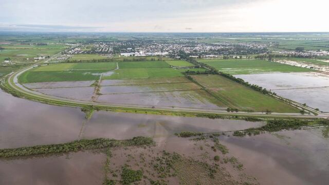 El Gobierno nacional declaró la emergencia agropecuaria en la provincia de Santa Fe