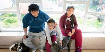 Se acerca la décima Castración Masiva