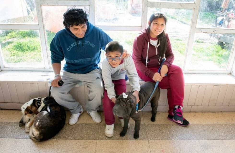 Se acerca la décima Castración Masiva